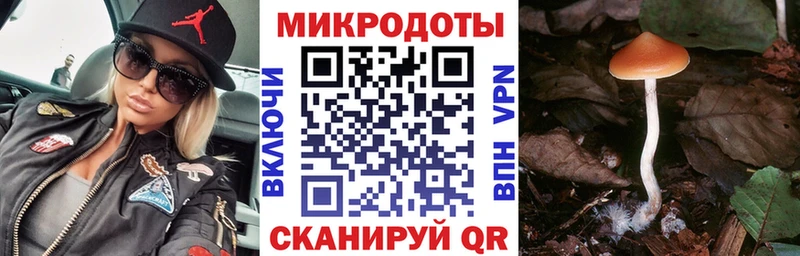 Галлюциногенные грибы Cubensis  Купить закладки  Оха 